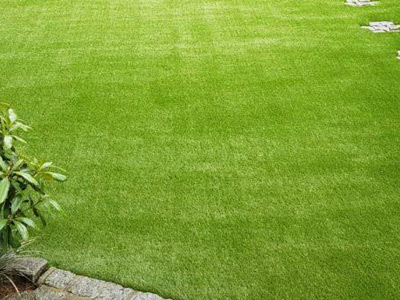Artificial Grass, Oro Valley, AZ