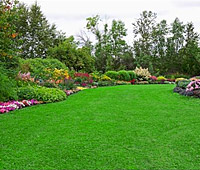 Synthetic Grass Oro Valley, AZ Synthetic Grass Oro Valley, AZ