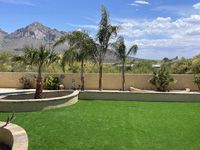 Artificial Grass