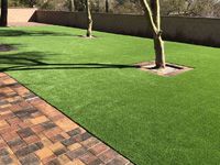 Artificial Grass